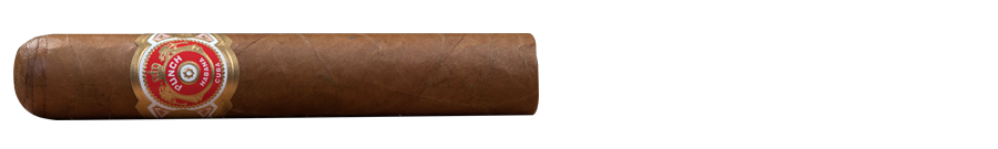 PUNCH 10 SHORT 19